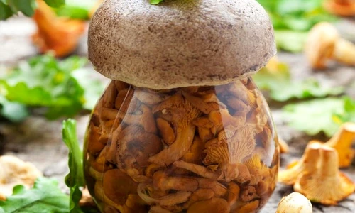 1 77645 original jpg jpeg