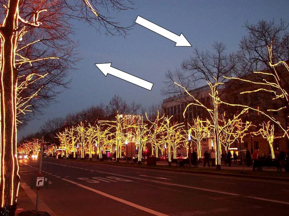 Arbori toaletaţi ca la manual în Berlin, pe strada Unter den Linden FOTO arhivă personală