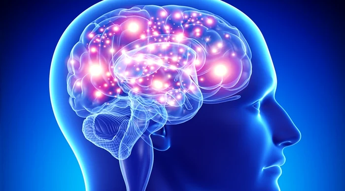 
    Care este legătura dintre sânge şi inteligență  