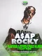Rocky ASAP Beaqch Please 1920 x 1080 png