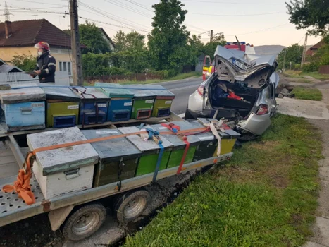 Accident rutier pe DN7 - E81 în Bujoreni - Vâlcea - o maşină cu stupi s-a ciocnit cu un cap de pod Foto Adevărul