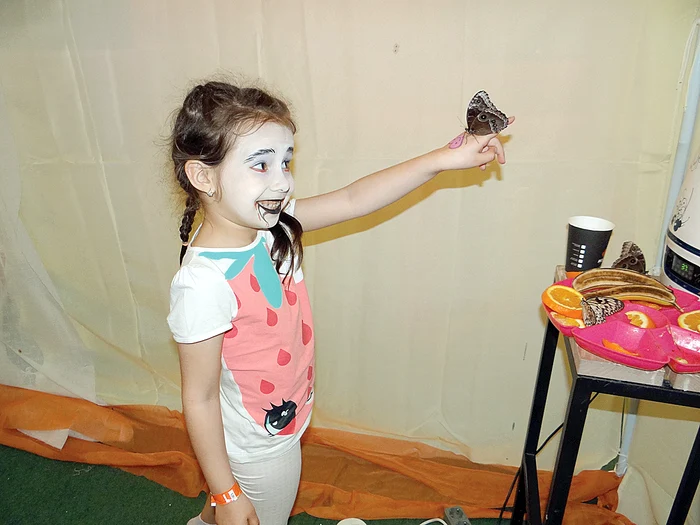 Filmele 3 D sunt favoritele copiilor, mai ales dacă e vorba de o animaţie cu personajele lor preferate