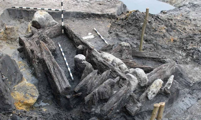 O lopată din lemn din Epoca bronzului, descoperită pe traseul Autostrăzii Transilvania (foto: Muzeul Județean de Istorie și Artă Zalău)