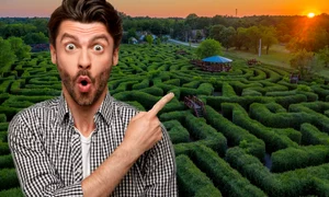 labirintul logo jpeg