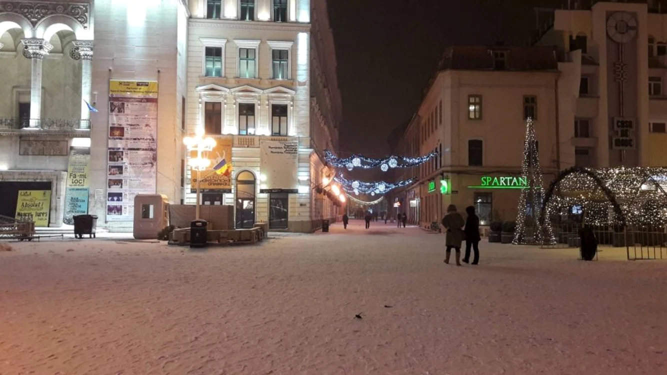 FOTO Prima ninsoare din 2019. Timişoara a îmbrăcat din nou haine albe
