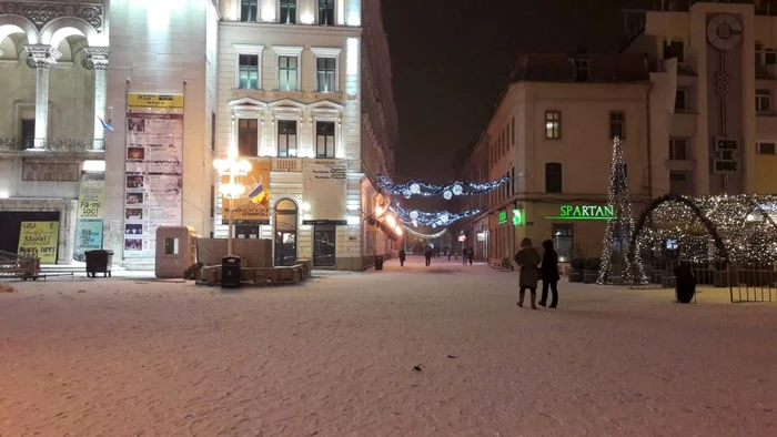 FOTO Prima ninsoare din 2019. Timişoara a îmbrăcat din nou haine albe