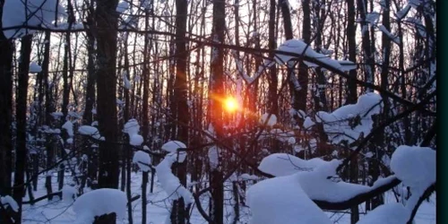 Vânturile vor bate cu până la 15-20 de metri pe secundă