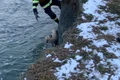 Un pompier a coborât malul abrupt și a scos patrupedul din apă jpeg