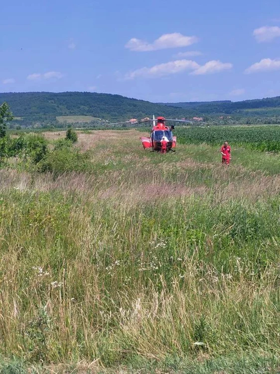 Accident FOTO Isu Timiş