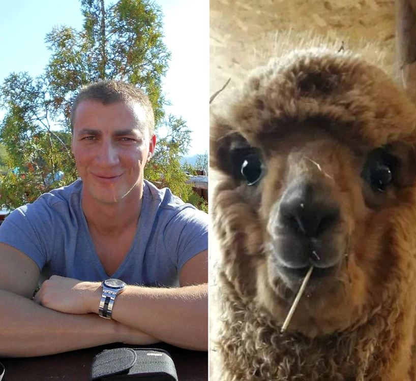 Marian Godină a fost convins de soția lui să cumpere o alpacaFoto: Arhiva personală