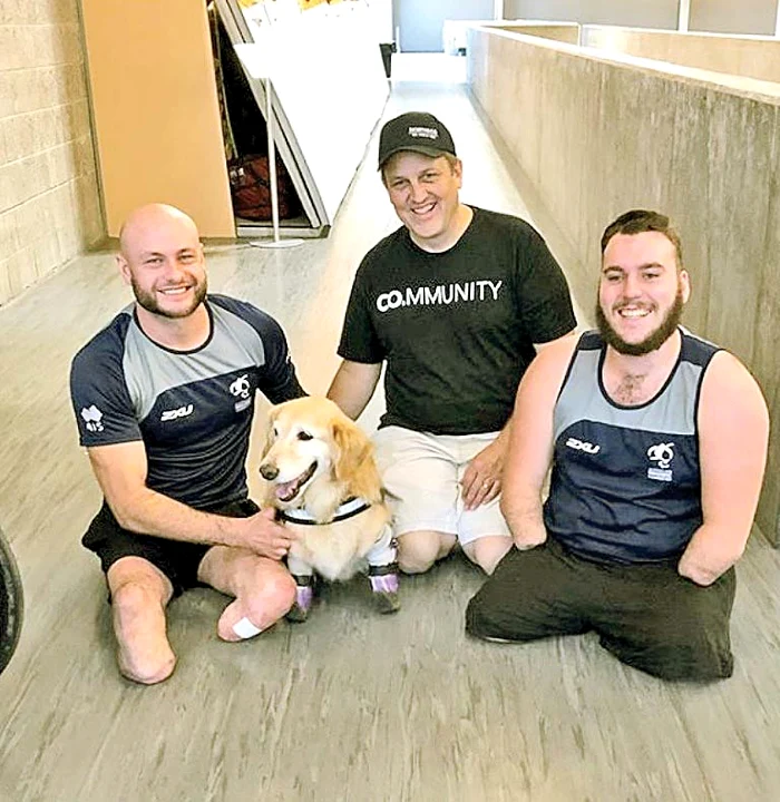 Căţeluşa,  nelipsită  de la  azil