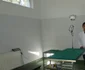 gradina zoo resita