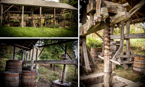 Expoziție de teascuri pentru presat struguri la Muzeul Județean de Etnografie și Artă Populară Maramureș