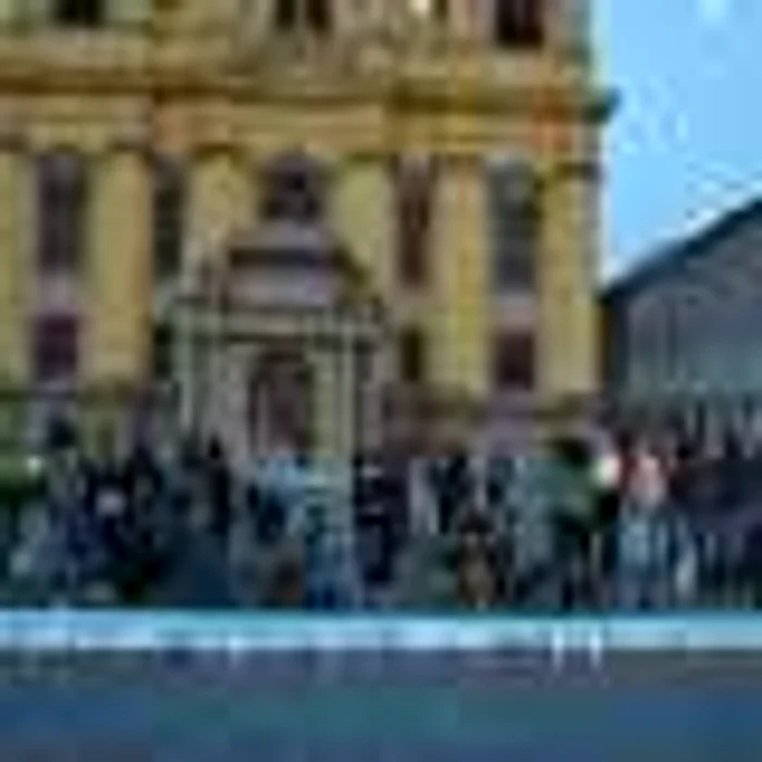 Ziua Mondială a Animalelor fără Stăpân la Timișoara