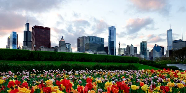 chicago spring