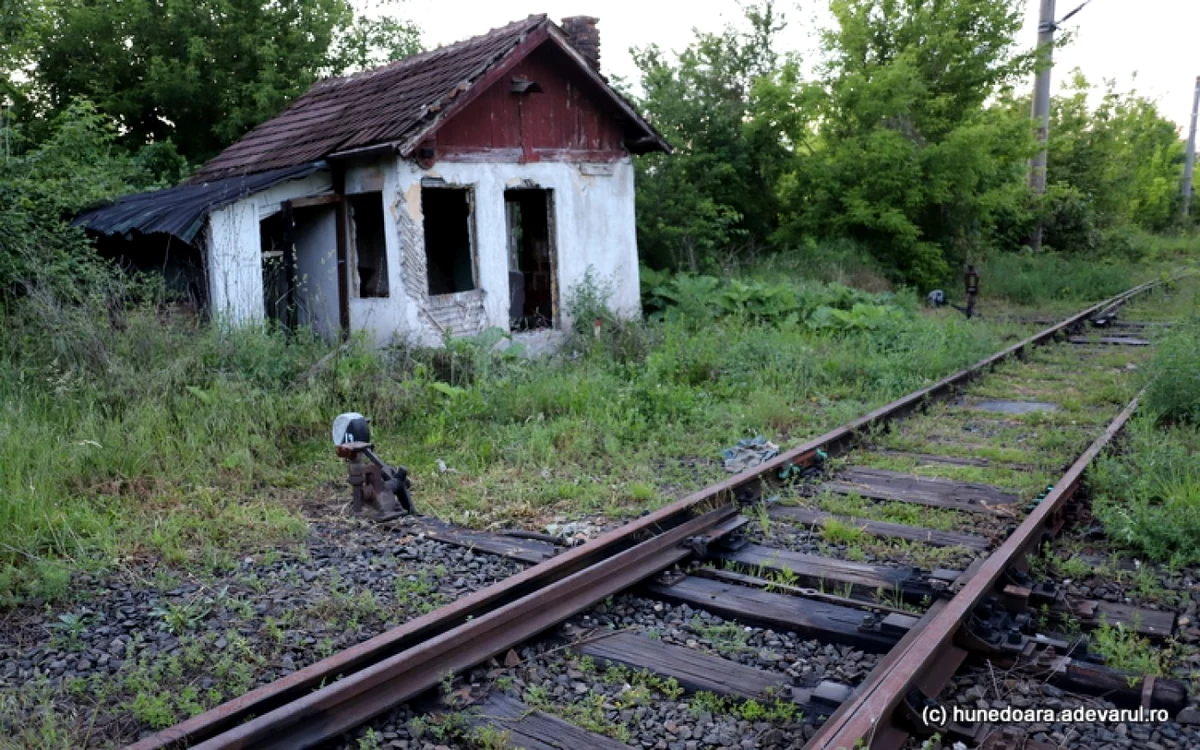 calea ferata hunedoara simeria foto daniel guta adevarul