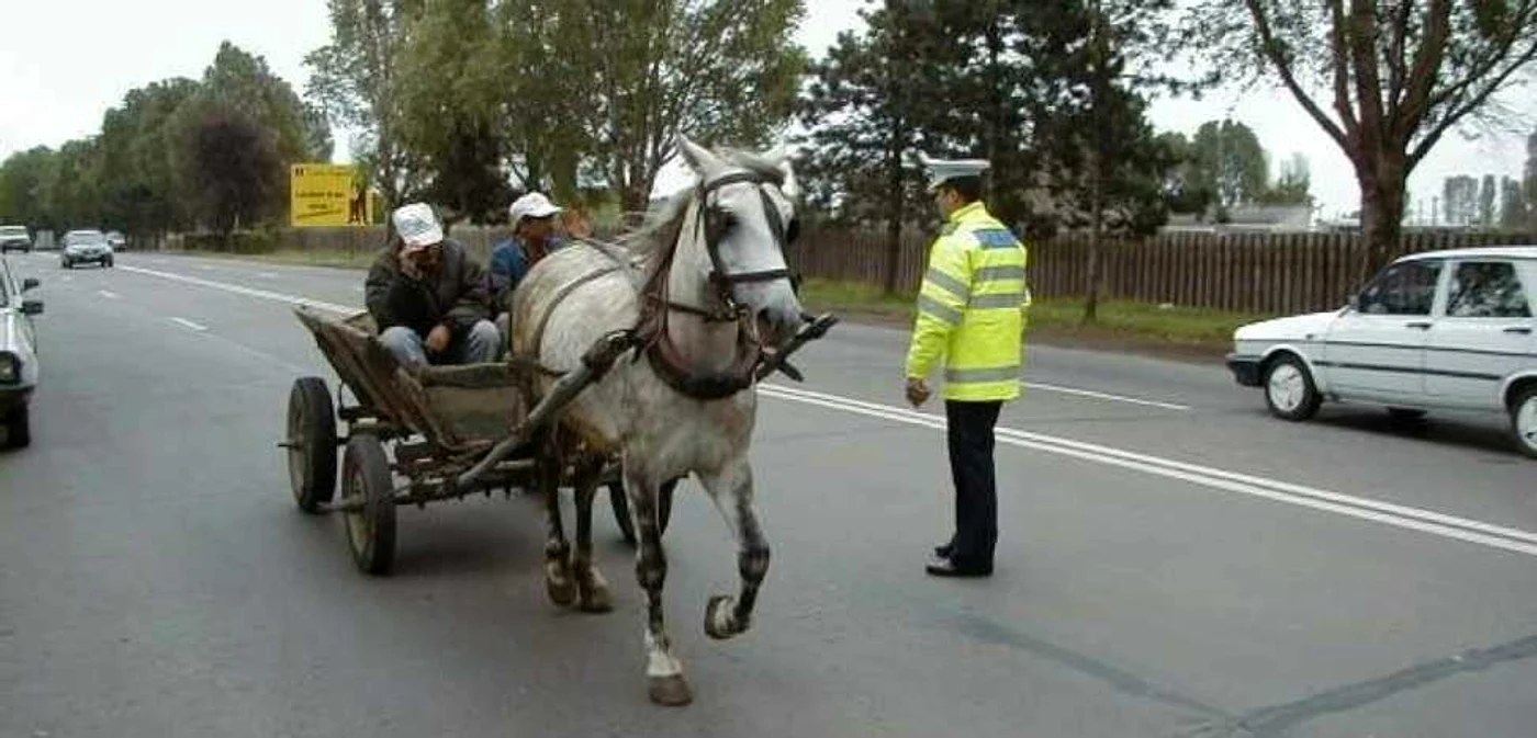 Foto: arhivă
