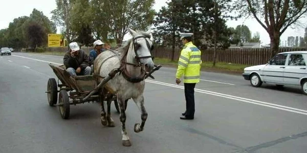 Foto: arhivă