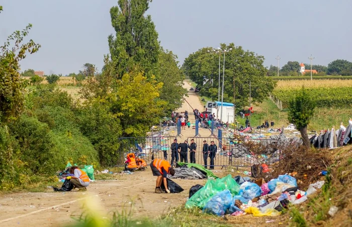 refugiati din serbia foto