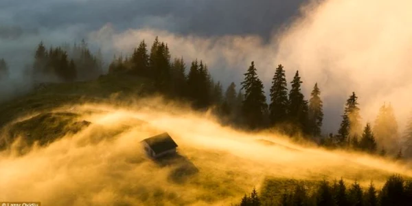 muntii rodnei national geographic 