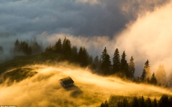 FOTO: Lazăr Ovidiu