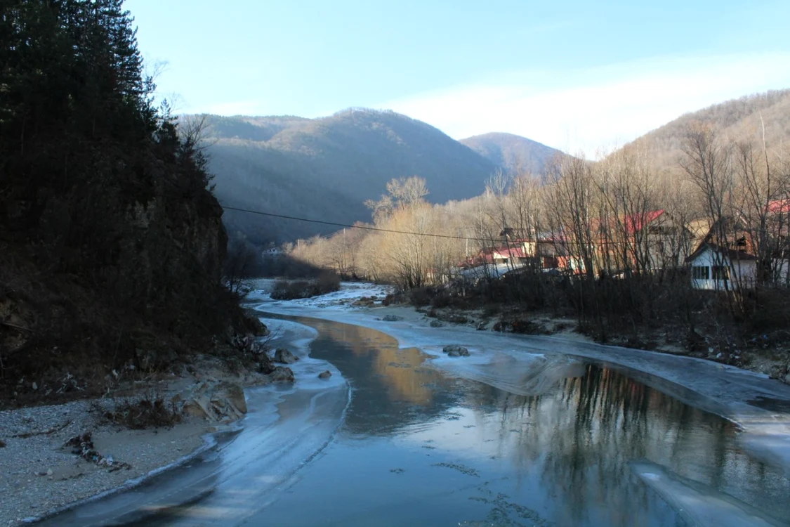 Râul Jiu a fost populat cu avat