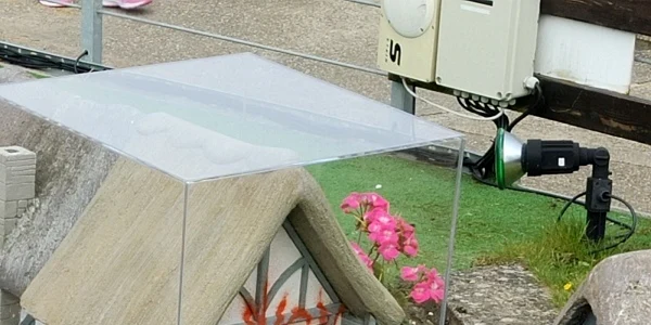grajd banksy