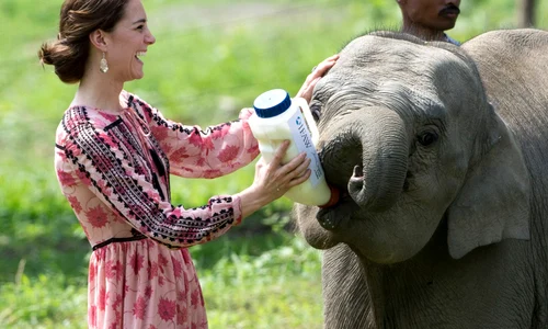 kate middleton GettyImages 520824456 jpeg