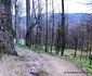 Sarmizegetusa Regia Foto Daniel Guță ADEVĂRUL (40) jpg