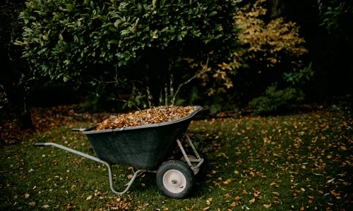 ingrijirea gradinii anotimp drujba electrica jpg