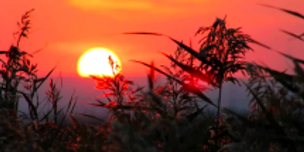 Jurilovca Delta Dunării Tulcea Dobrogea Sursa Facebook Visit Jurilovca 