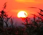 Jurilovca Delta Dunării Tulcea Dobrogea Sursa Facebook Visit Jurilovca