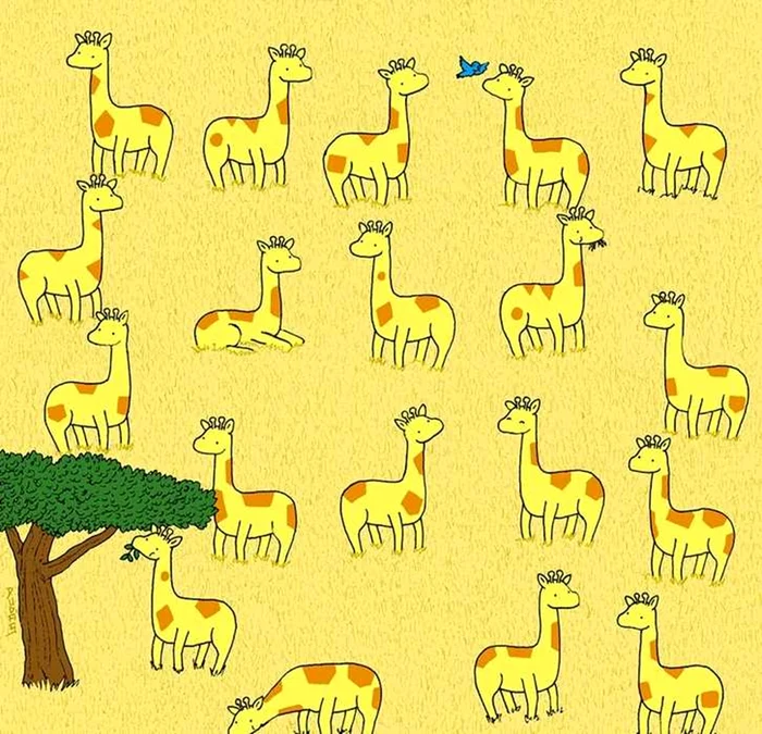 Unde se află girafa diferită