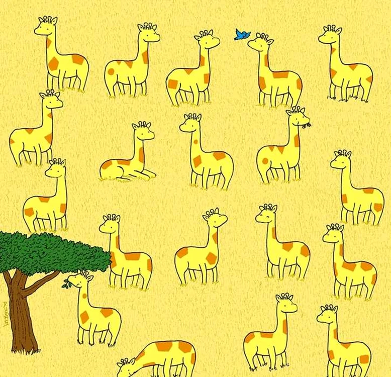 Unde se află girafa diferită
