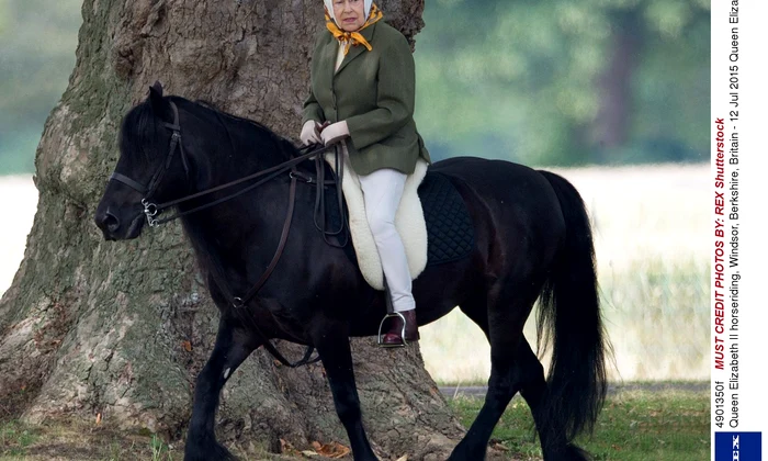 Queen Elizabeth jpeg