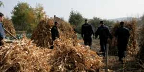 Poliţiştii au întocmit dosar penal