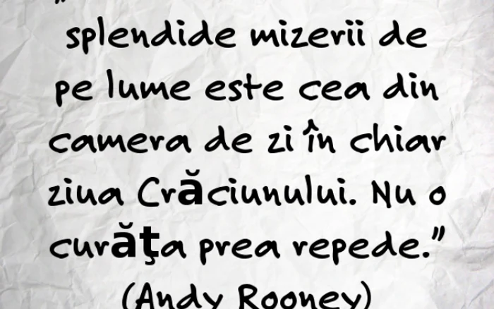 andy rooney