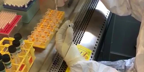 5ea2b92f5163ec427115a230 jpg