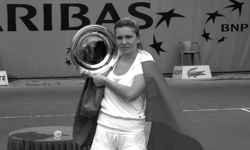 Halep – realism şi fantezie jpeg