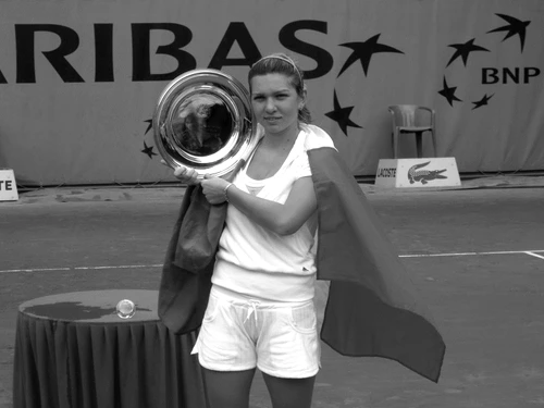 Halep – realism şi fantezie jpeg