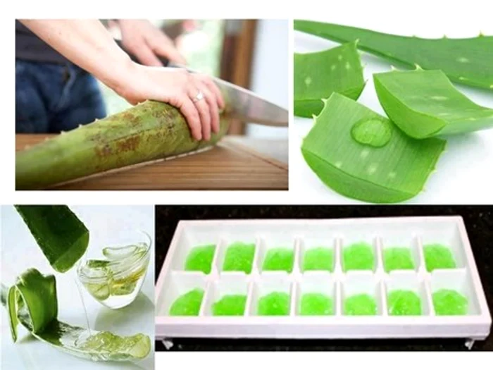 Cuburile de gheață cu Aloe Vera îți vor alina pielea arsă de soare