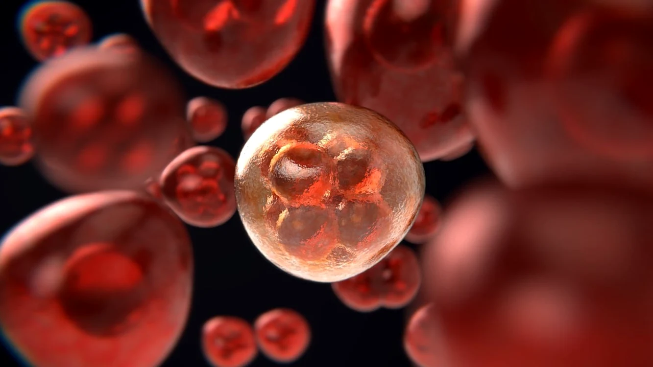 Această inițiativă nu se limitează doar la prevenția cancerului / foto: Pixabay