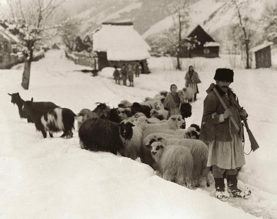 Cioban cu oile, Lunca Cernii, anii 30, Foto: Denis Galloway. Muzeul de Etnografie al Transilvaniei