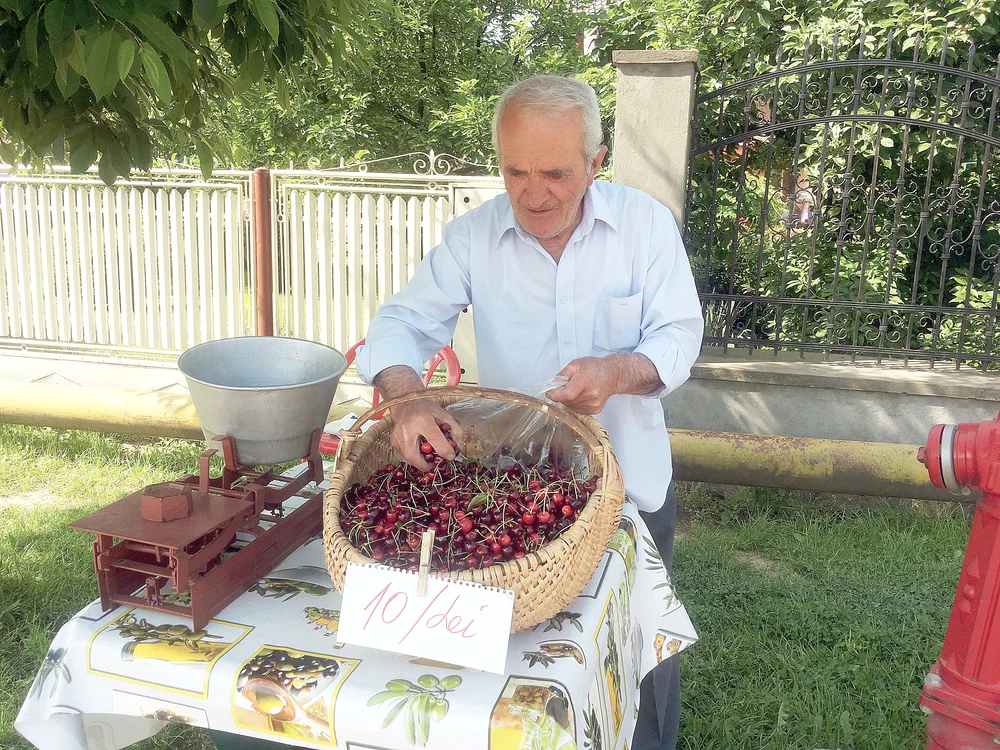 
    Gheorghe vinde la  poartă cireşe de  mai în fiecare an  