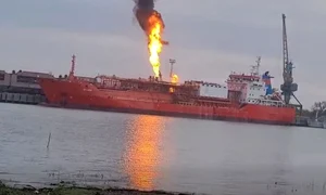 1763370245 plauru jpg