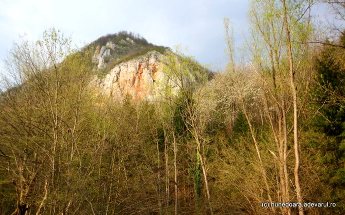 cetatea piatra rosie foto daniel guta adevarul