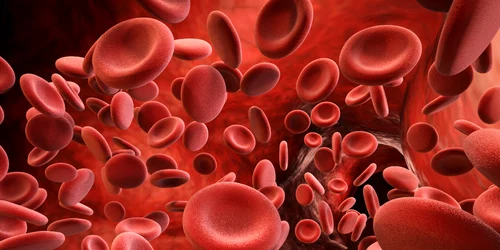 hemofilie foto Medline Plus jpg