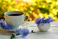 shutterstock 1128484214 jpeg