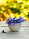 shutterstock 1128484214 jpeg