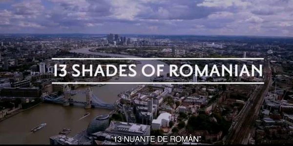 13 nuante de roman 